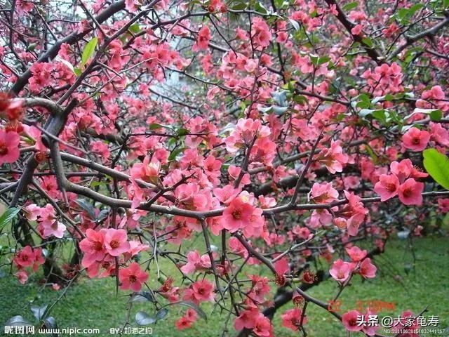 张北草原玩去，在怀来县或者张家口住一夜，想问问怀来县和张家口有什么特色美食吗？