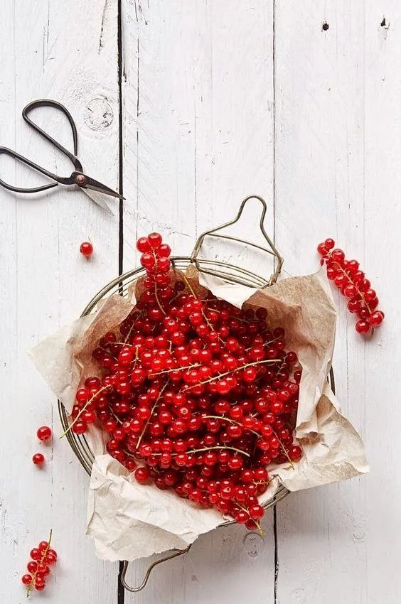 车厘子和樱桃有什么区别？是同一种水果吗？