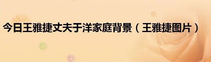 今日王雅捷丈夫于洋家庭背景(王雅捷图片)