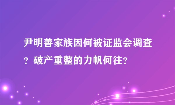 尹明善家族因何被证监会调查？破产重整的力帆何往？