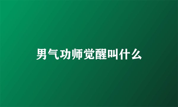 男气功师觉醒叫什么