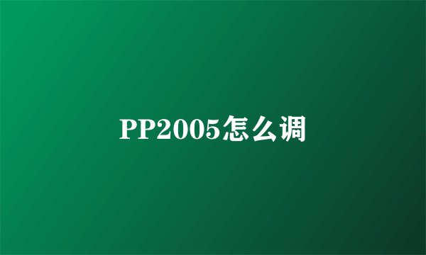 PP2005怎么调