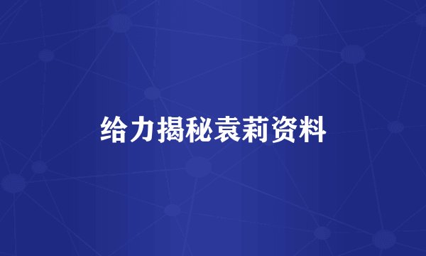 给力揭秘袁莉资料