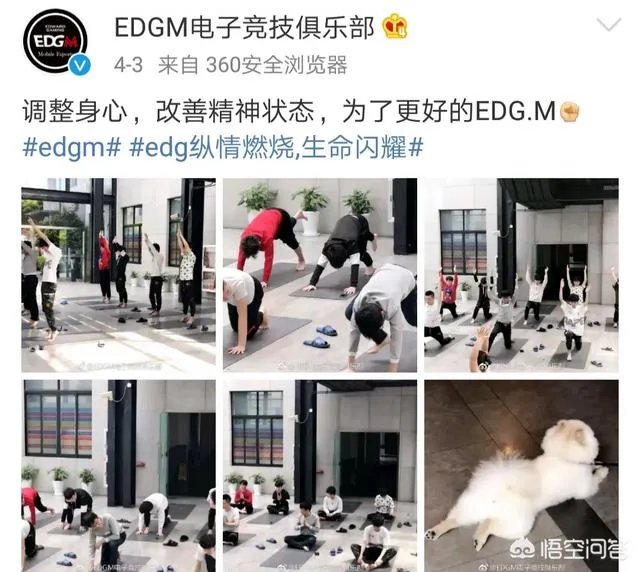 EDG.m在队长微博事件之后，无痕重新上场队伍取得首胜，他们能打进季后赛吗？