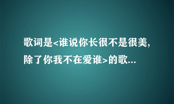 歌词是<谁说你长很不是很美,除了你我不在爱谁>的歌名是什么?