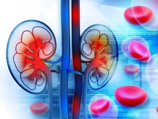 肾囊肿饮食注意