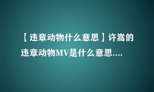 【违章动物什么意思】许嵩的违章动物MV是什么意思.好感动啊.