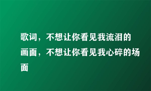 歌词，不想让你看见我流泪的画面，不想让你看见我心碎的场面