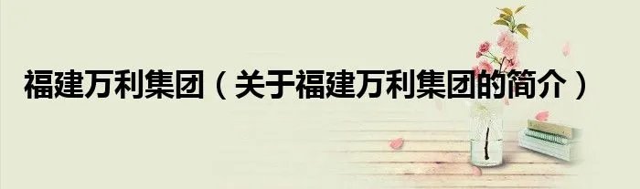 福建万利集团（关于福建万利集团的简介）