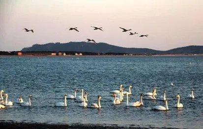 上联:短歌谁和，风动梨花朵。下联怎么对？