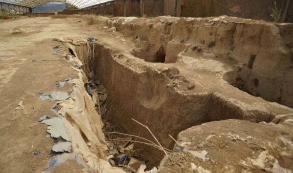 甘肃天水警方通报墓葬损毁事件,此案件的具体细节是什么?