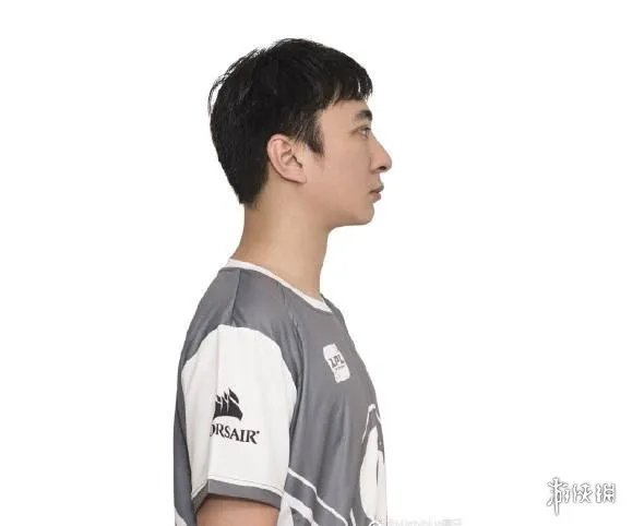 王思聪LPL是什么梗 王思聪什么时候上LPL打什么位置