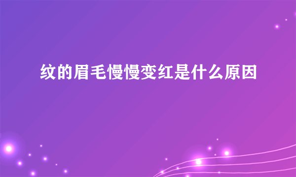纹的眉毛慢慢变红是什么原因