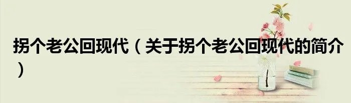 拐个老公回现代（关于拐个老公回现代的简介）