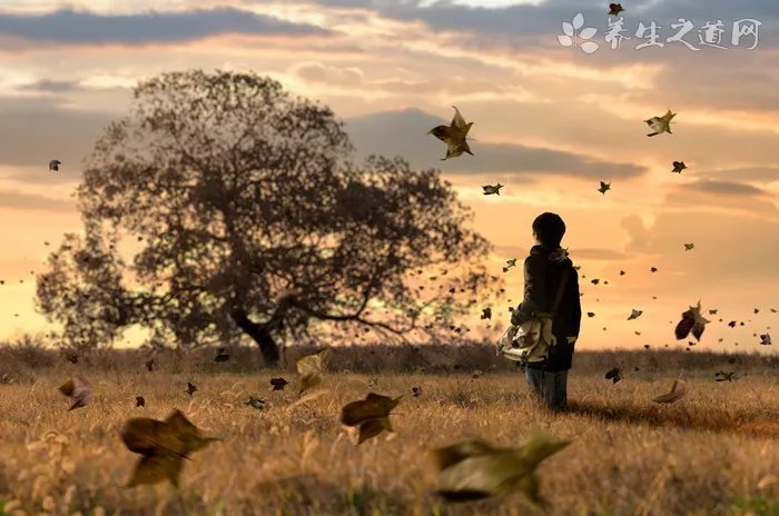 宝宝吃奶少怎么办