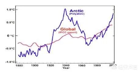 近来北极圈罕见32℃高温，高温成因是什么？北极熊受此影响会走向灭绝吗？