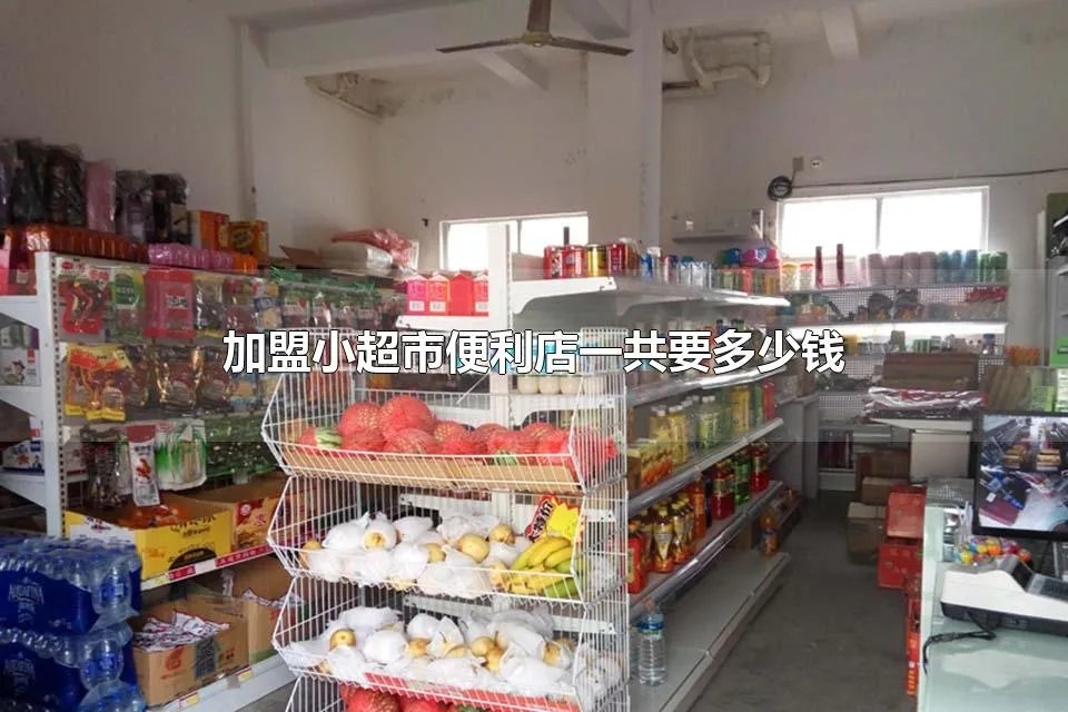 加盟小超市便利店一共要多少钱 小超市自己开好还是加盟的好