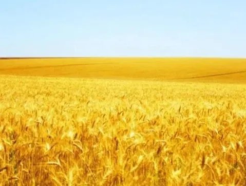 秋天打雷的谚语