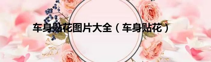 车身贴花图片大全(车身贴花)