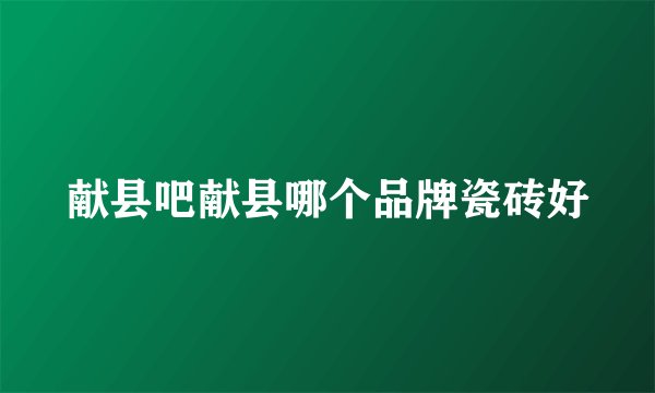 献县吧献县哪个品牌瓷砖好