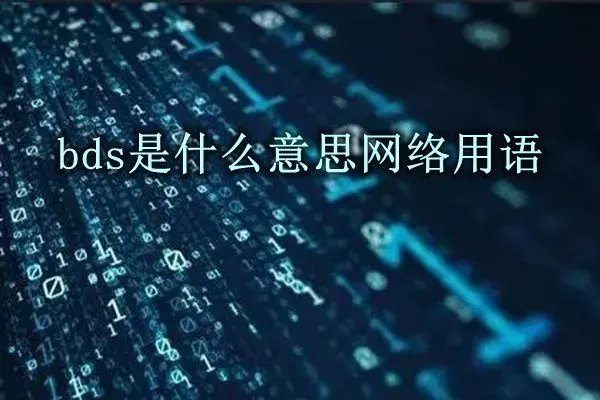 你是我的荣耀BDS是什么意思 关于bds的含义解释