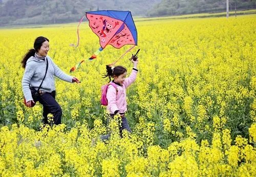 清明节的来历简短