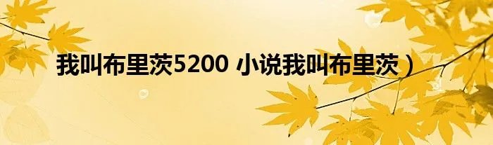 我叫布里茨5200 小说我叫布里茨）