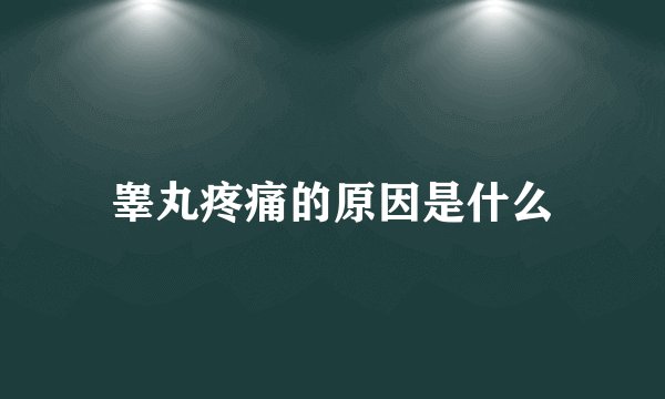 睾丸疼痛的原因是什么