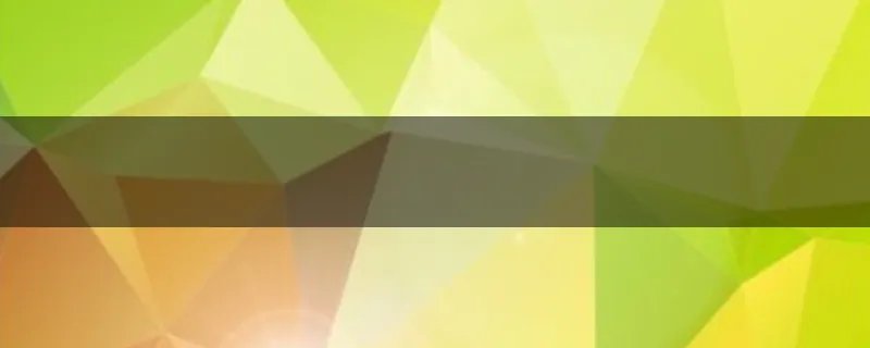 美国大选投票是怎么计票的