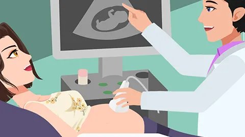 六个月的孕妇吃什么好有哪些食谱