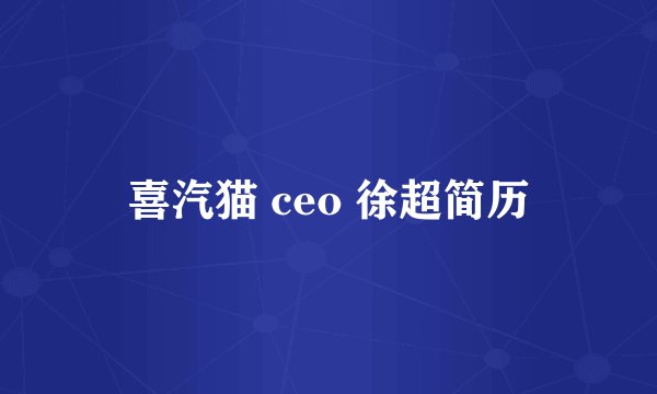 喜汽猫 ceo 徐超简历