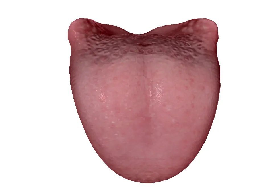 整个头部位置名称图解