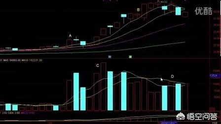 赵薇再一次被处罚,明星身份是圈钱捷径吗?