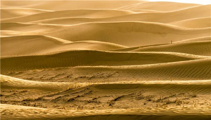 被称为死亡之海的沙漠是哪个 被称之为死亡之海的沙漠是什么