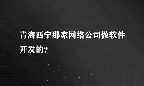 青海西宁那家网络公司做软件开发的？