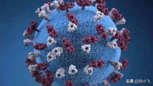 NBA暂停比赛，你的心情是怎么样的？