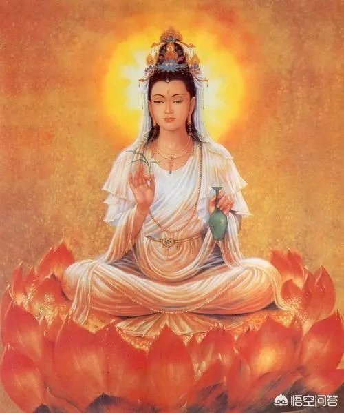 南怀瑾出舍利子了吗