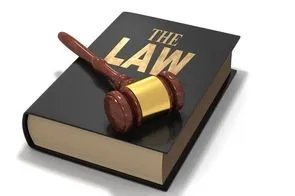 上海破获首例网红直播带货售假案