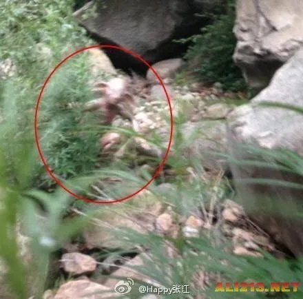 北京怀柔惊现怪兽 真相不日曝光 原来竟然是...