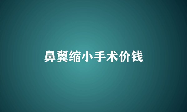 鼻翼缩小手术价钱