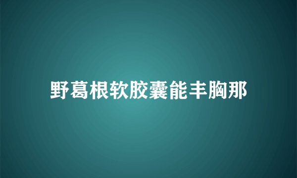 野葛根软胶囊能丰胸那