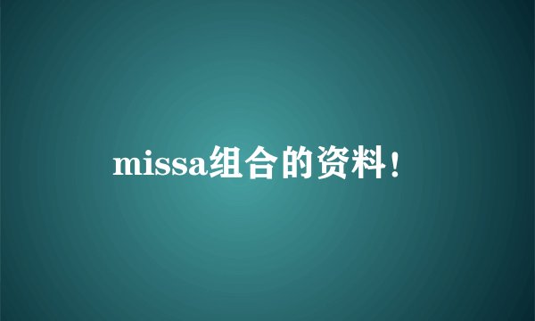 missa组合的资料!