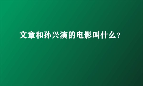 文章和孙兴演的电影叫什么?
