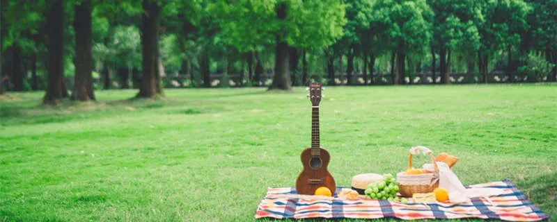 绿色寓意是啥 绿色显皮肤白还是黑