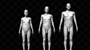 丁丁越大,越受妹子欢迎?|1分钟科普