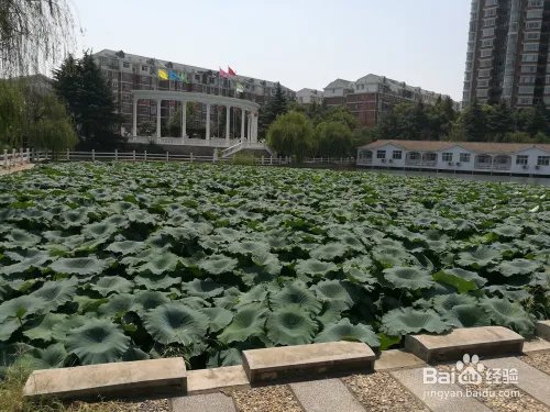 武汉海滨城度假村旅游攻略