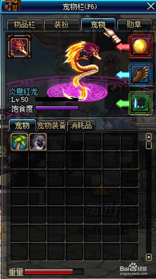 DNF宠物如何使用技能