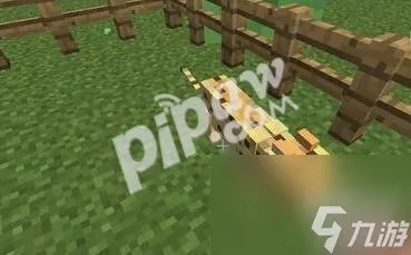 我的世界豹猫怎么驯服 豹猫驯服方法推荐 每日一条