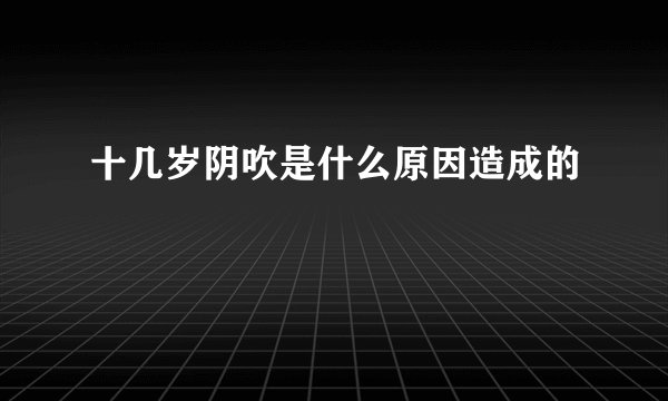 十几岁阴吹是什么原因造成的