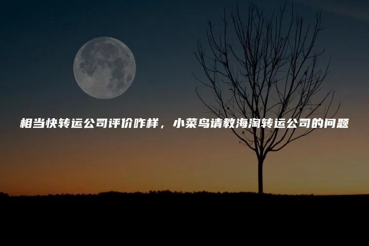相当快转运公司评价咋样，小菜鸟请教海淘转运公司的问题